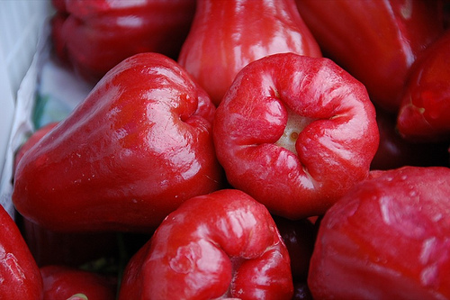 Jambu Air Cara membuat manisan Jambu biji dan jambu air