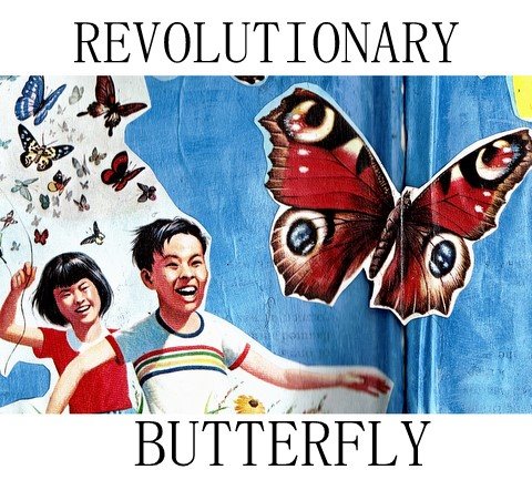 Revolutionary Butterfly