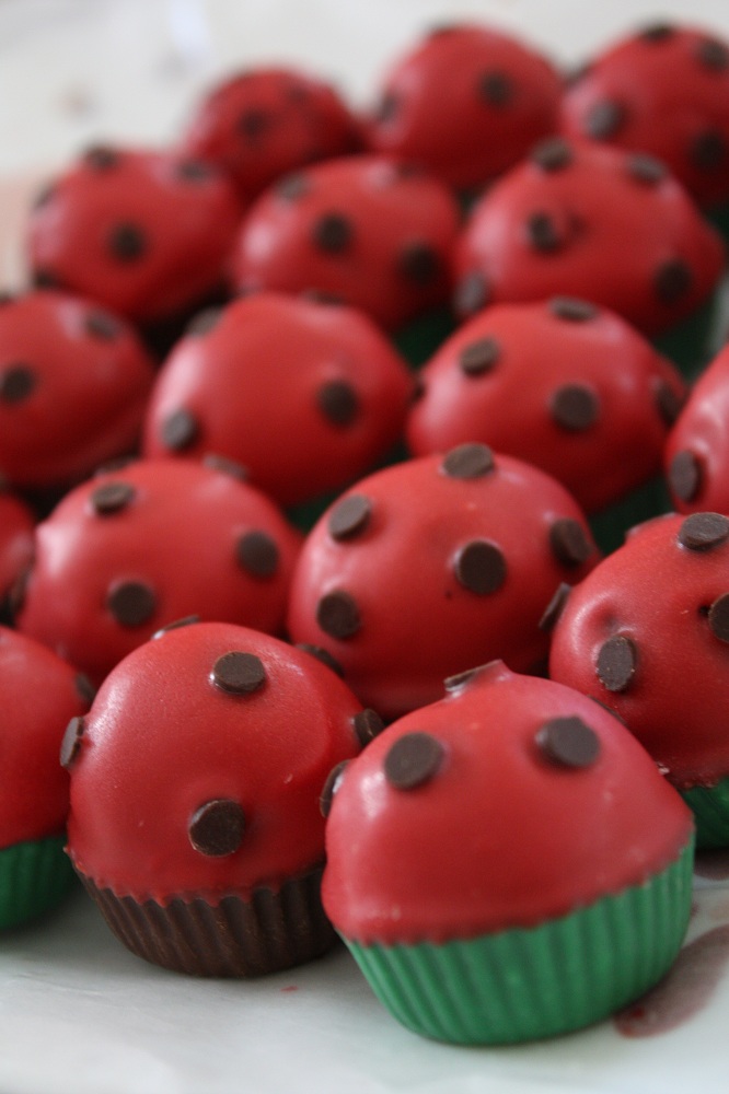 JaeBellz: LadyBug Cake Pops!