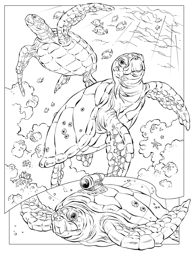 ocean coloring pages and activities - photo #37