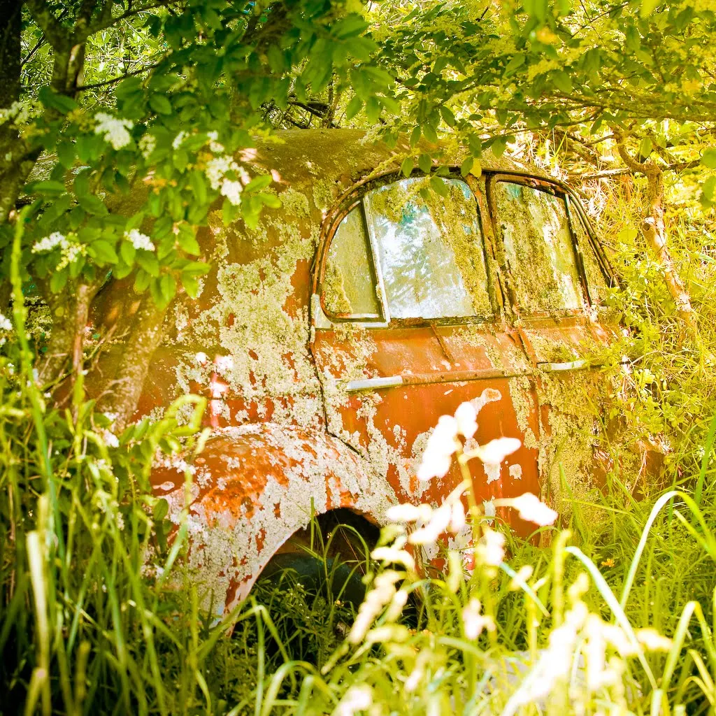 Dynamic Kereta Second Hand Capture for Desktop