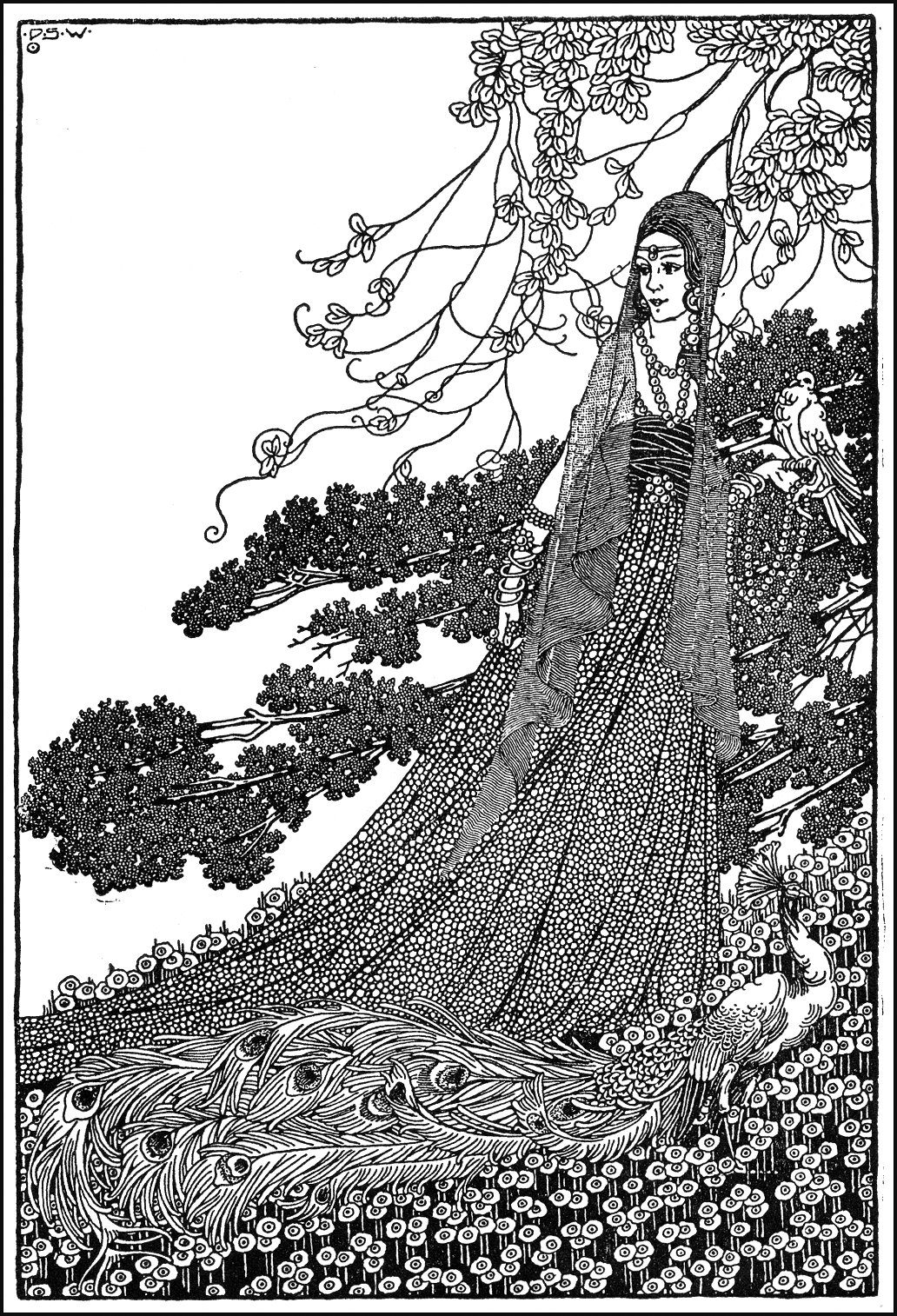 PEACOCK'S GARDEN Dugald Stewart Walker "The Boy Who Knew What the