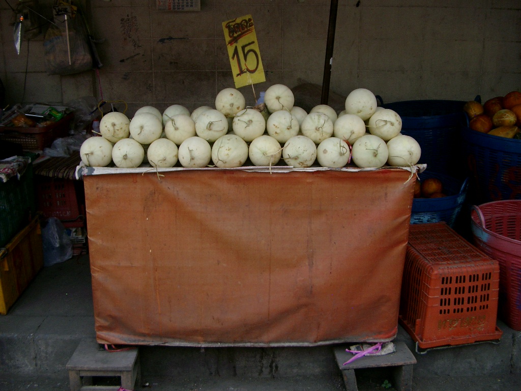 [IMGP4709.JPG]