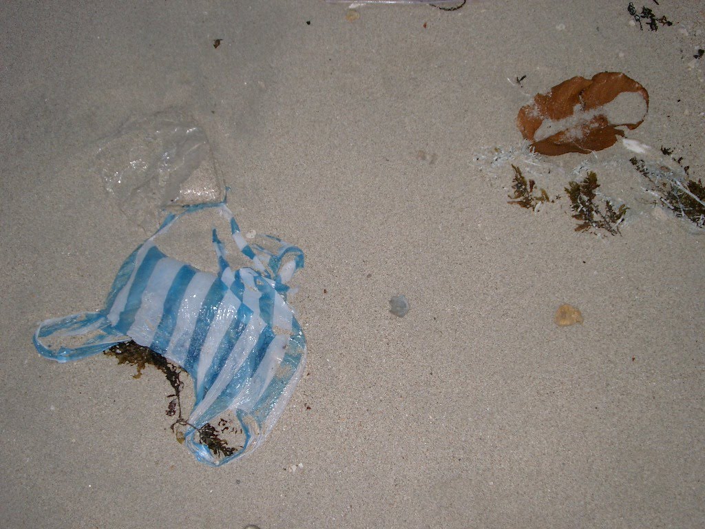 [IMGP5042.JPG]