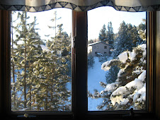 The view outside my kitchen window...