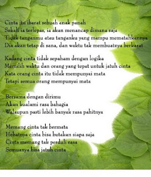 Puisi Ibu Hamil Untuk Calon Bayi Koleksi Puisi