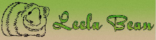 Leela Bean Creations