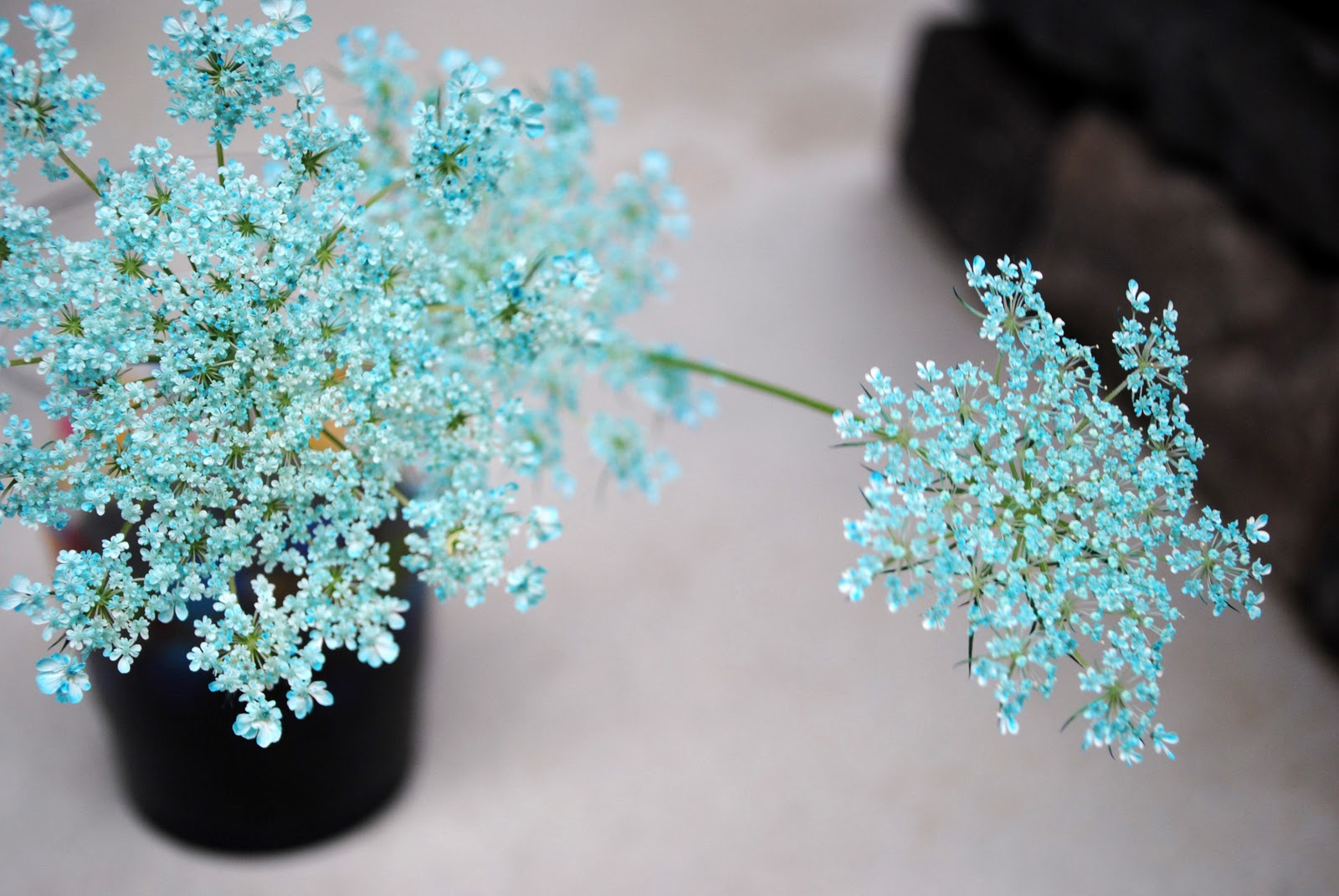 Live + Love + Teach = "Art": old fashioned fun with queen anne's lace