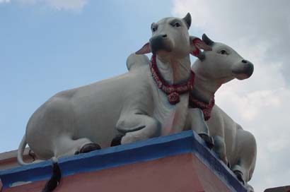 Frases célebres Jacinto Gimbernard Pellerano DESDE LA REPÚBLICA