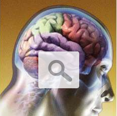 Haz click para mayor información