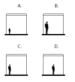 Opciones de respuesta Ejercicio Perspectiva Posicion Dimensiones Relativo