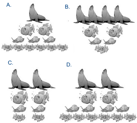 Opciones de Respuesta Icfes Ciencias Naturales