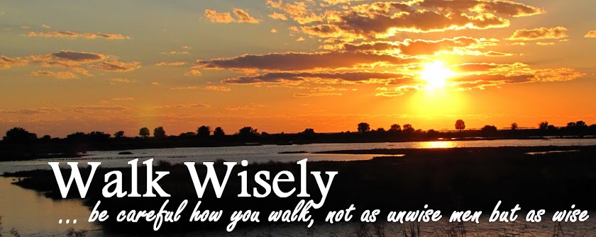 Walk Wisely