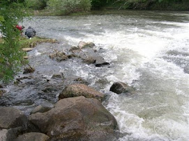 El río Tera a su paso por Garray