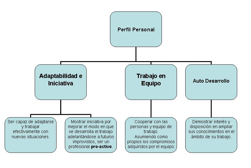 Aprendiendo sobre la Informatica: Perfil de un profesional informático