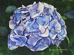 Blue Hydrangea Original Watercolor