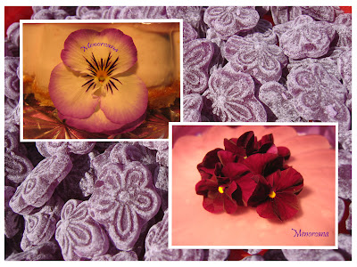 TARTA+VIOLETAS+001+COLAGE.jpg