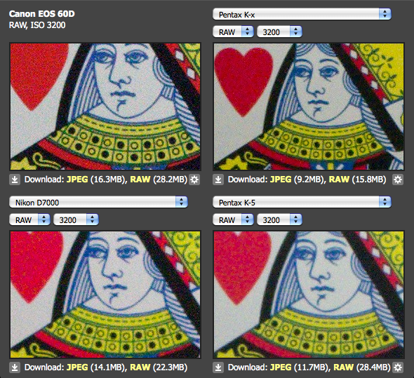 Fotografie Wildlifephotography Pentax K5 vs. Canon EOS 60D vs