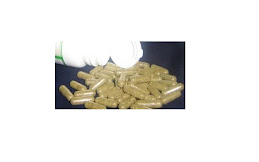 KAPSUL KELADI TIKUS @ 400mg