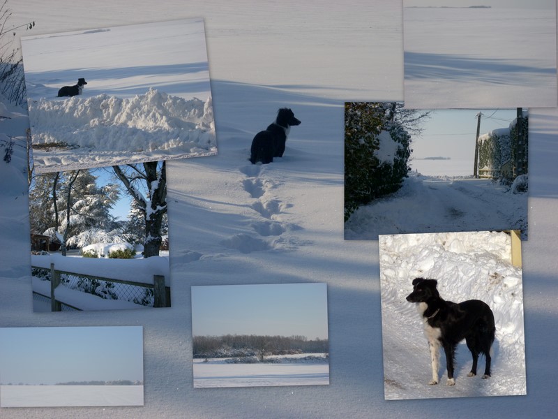 [neige+2010+2.jpg]