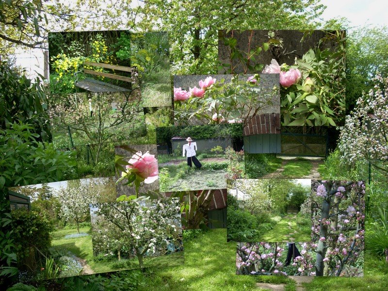 [Nouveau+dossier1.jpg]