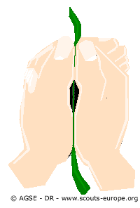 [sde-179-dr-appeaux-herbe-entre-pouces-3f20b.gif]