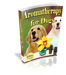 Great for Dogs