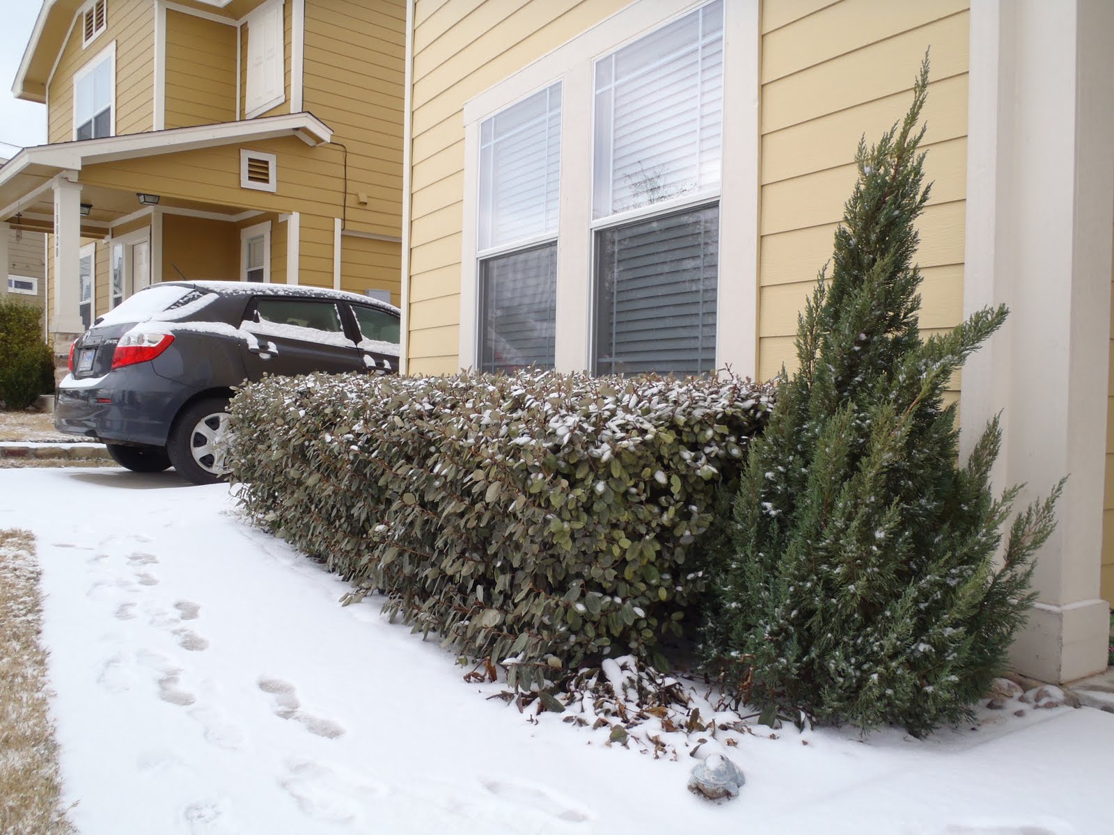 did austin texas get snow today