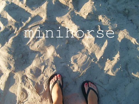 minihorse