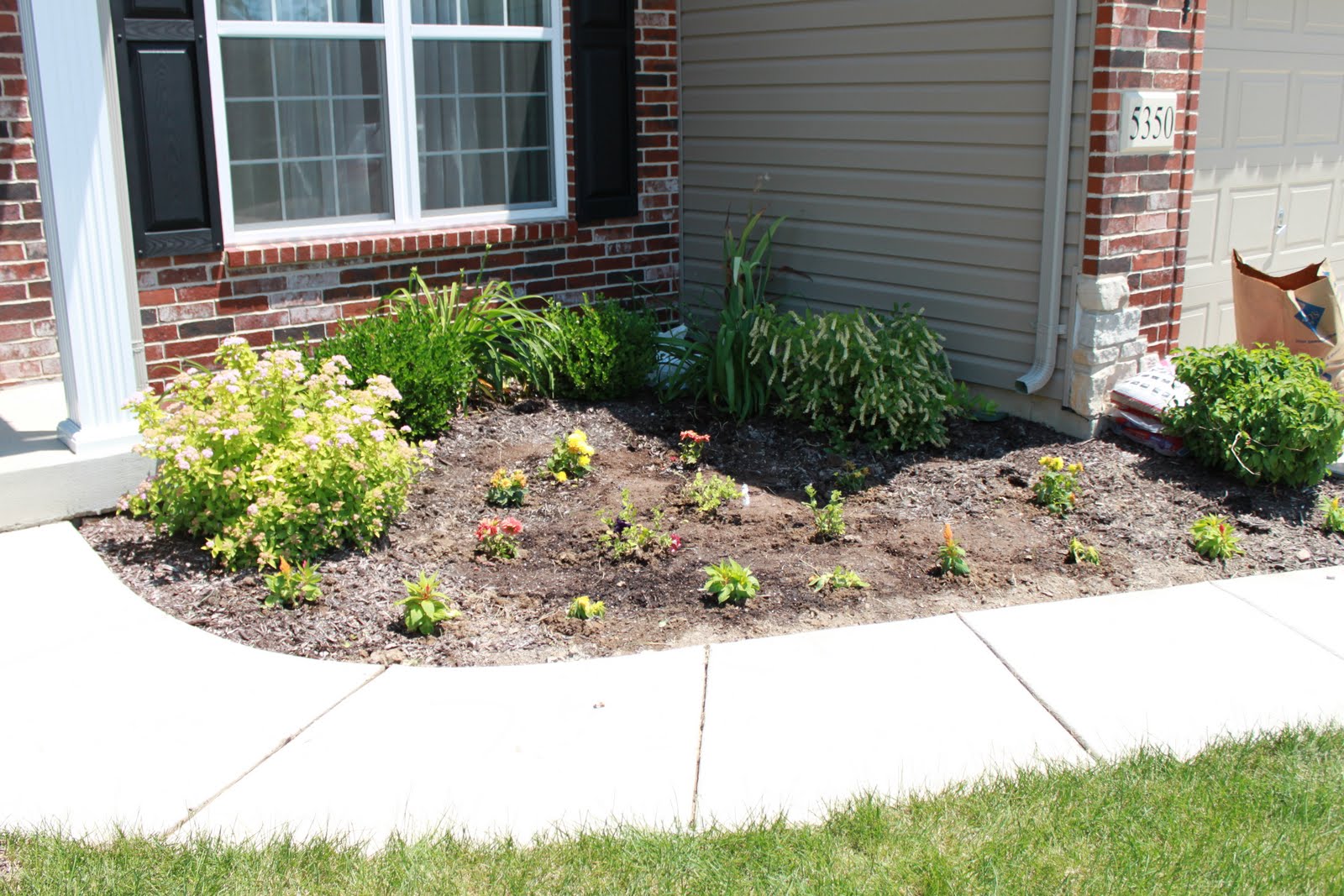 This Too! Flower Bed Redo Part 2