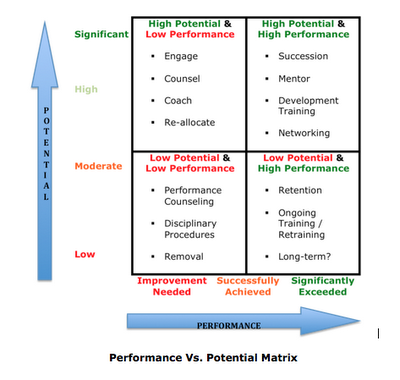 the low performer: Performance   Potential