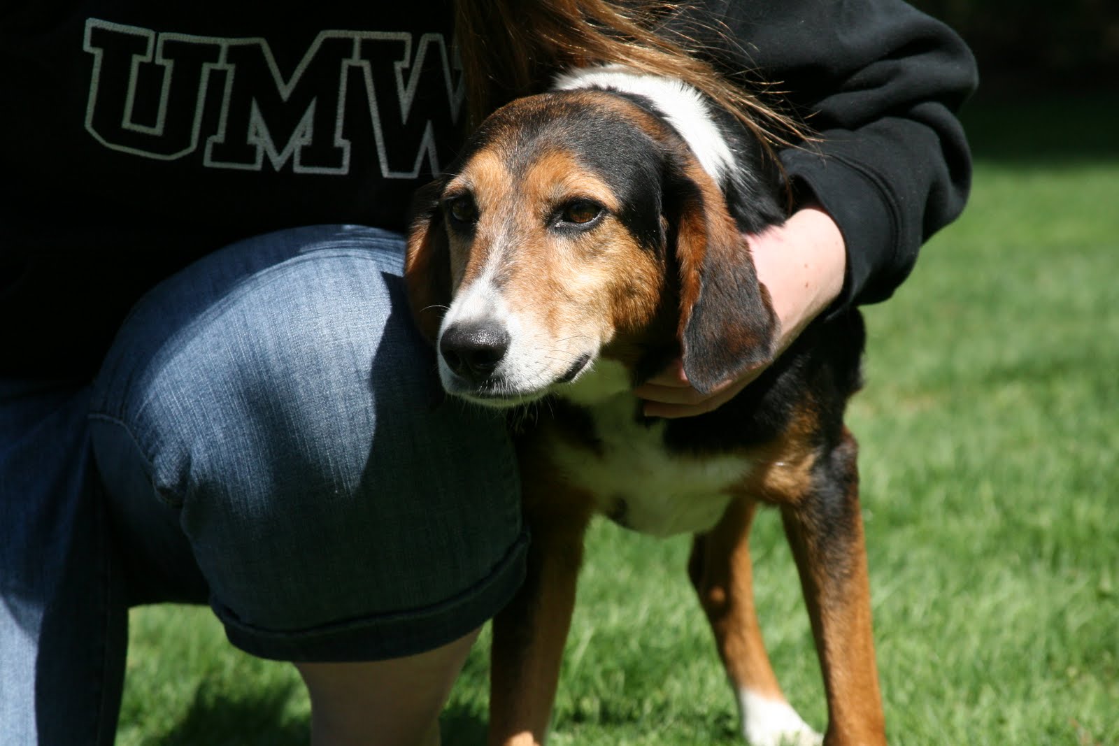 Best Friends Avon Rescue Dogs from Double Dog Rescue!