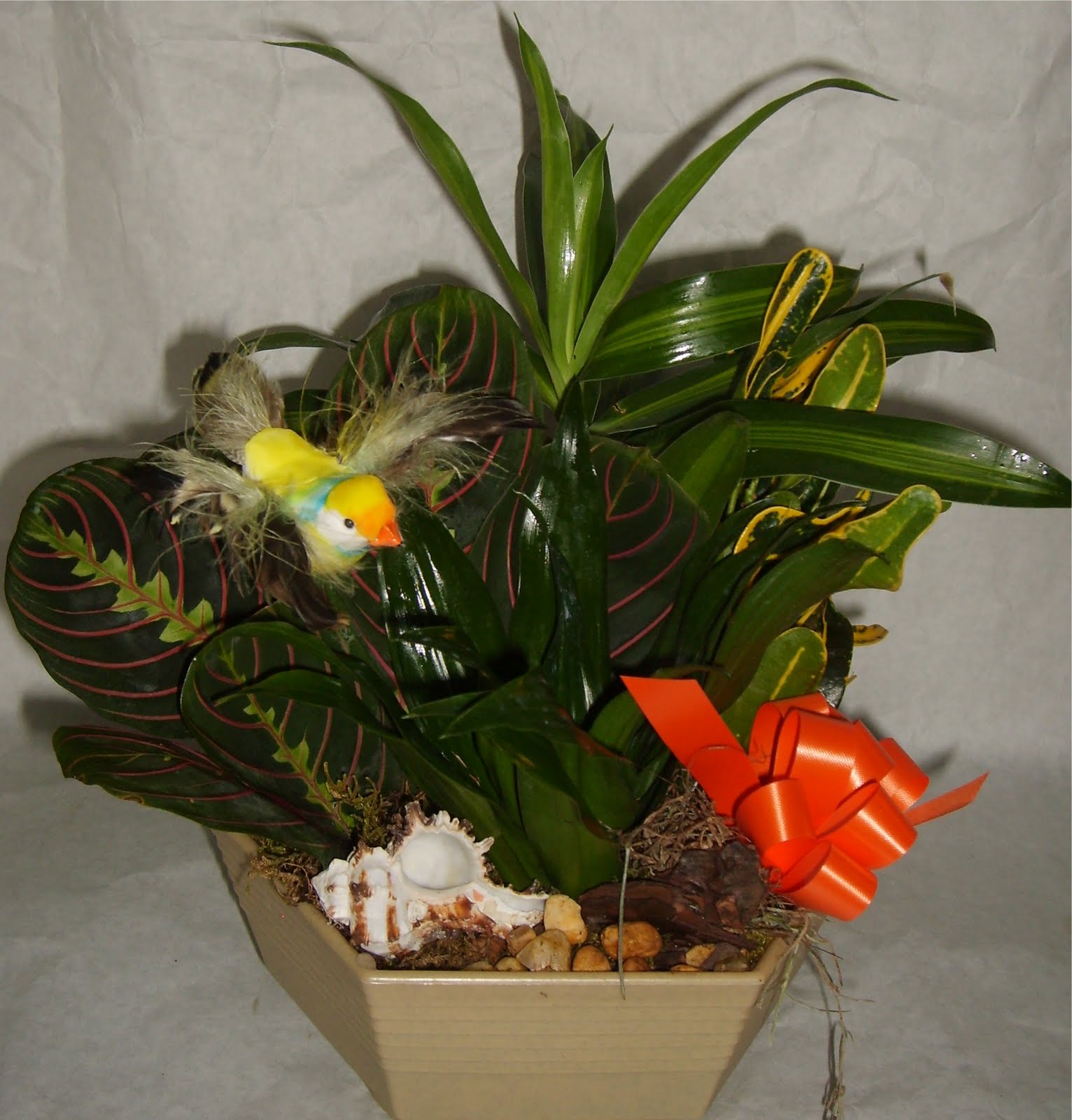 Boynton Beach Florist's Secret To Flowers Send the Healing Power of Plants