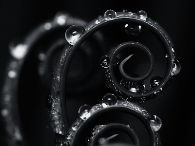 Black-and-White-Rain-Drops-twisted-stem.png