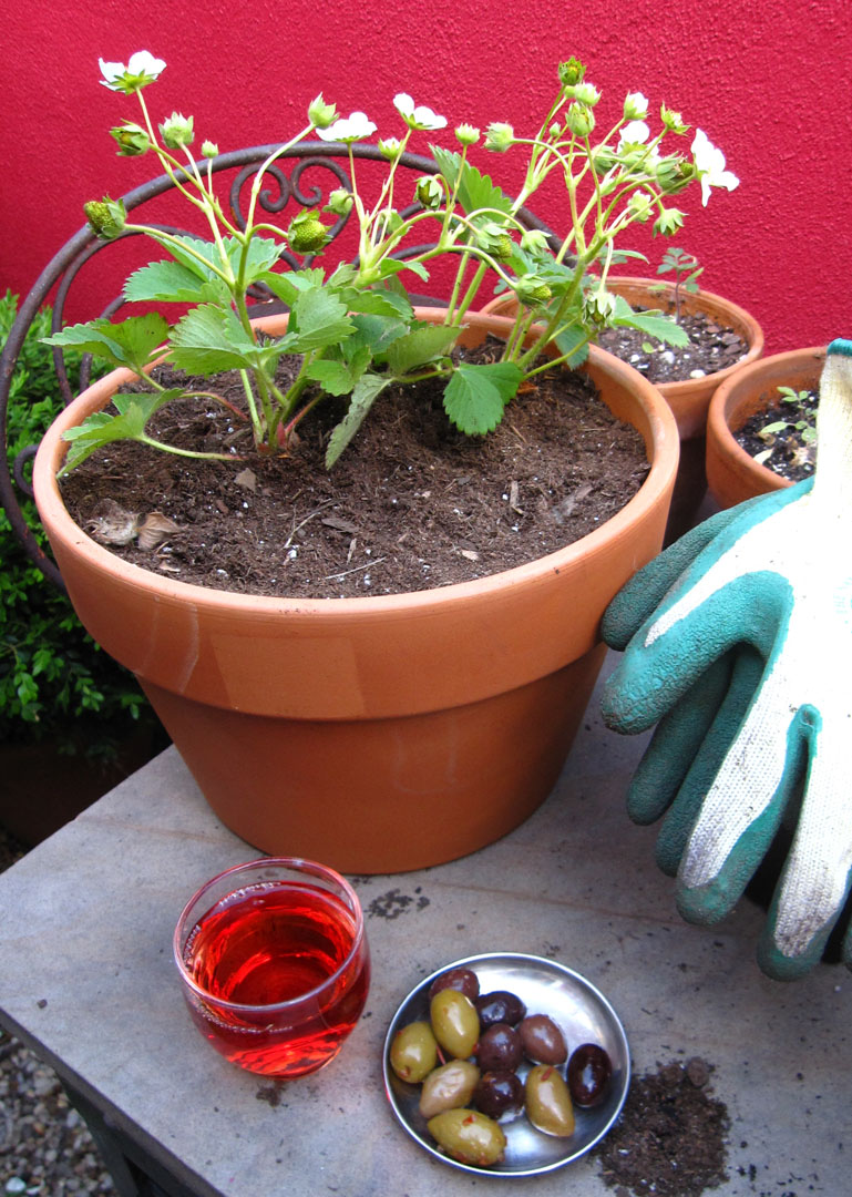 66 Square Feet (Plus): On the terrace