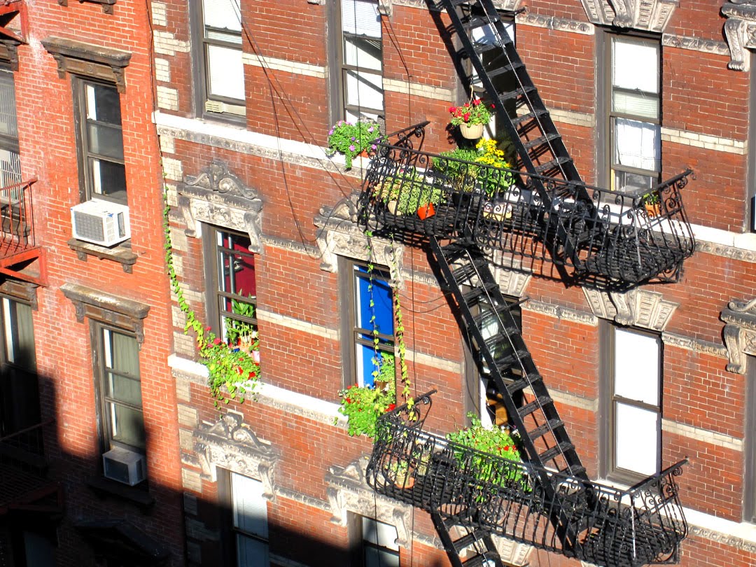 [fire+escape+garden+SoHo.jpg]