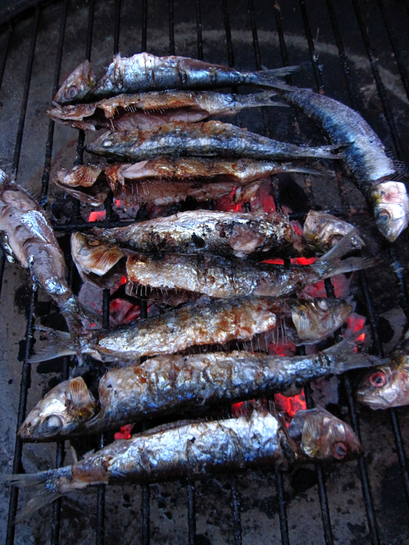 66 Square Feet (Plus) Sardine supper