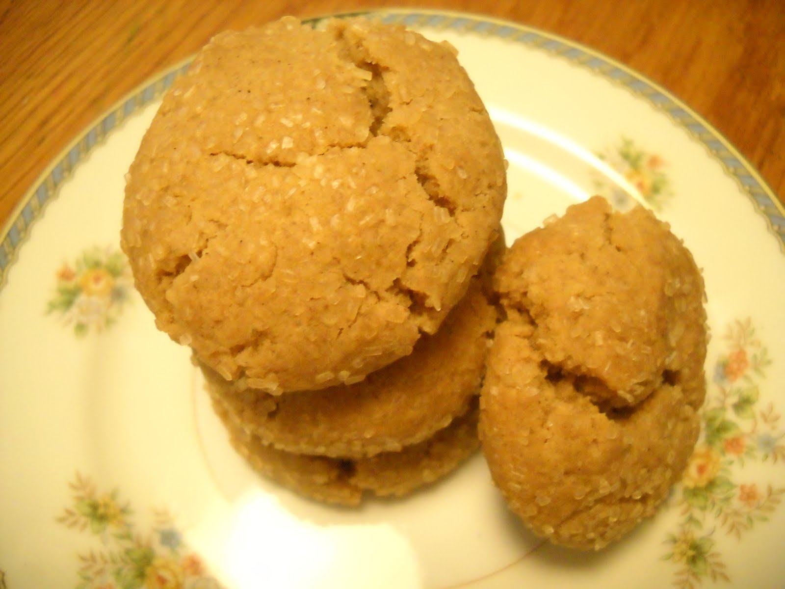 Blessed Vegan Life Soft Ginger Cookies and 4th of July, 2010 Part 2