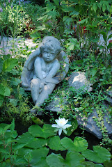 GARDEN POND