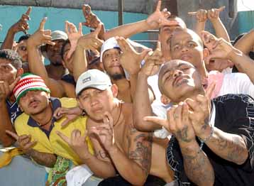 Las Pandillas Juveniles En Neiva