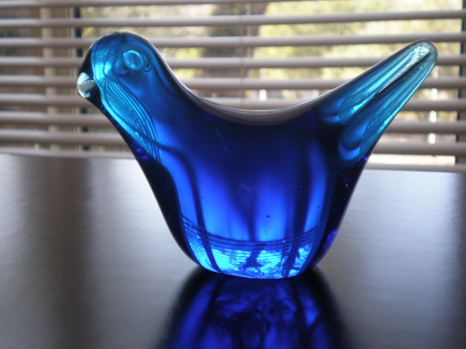 [Bluebird+and+CLC+004.jpg]