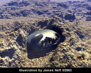 Crashed UFO Witnessed By Reme Baca & Jose Padilla - Illustration By James Neff
