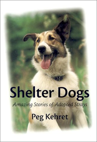 [shelter+dogs.jpg]