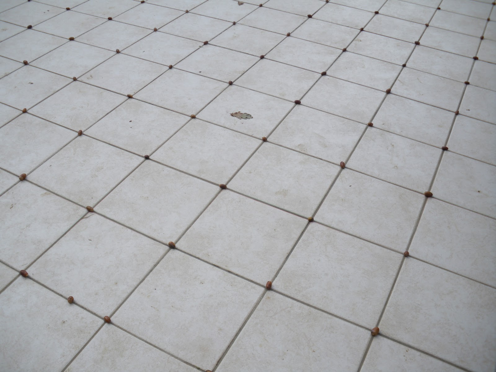 Et si on essayait: Scratch en r??vait