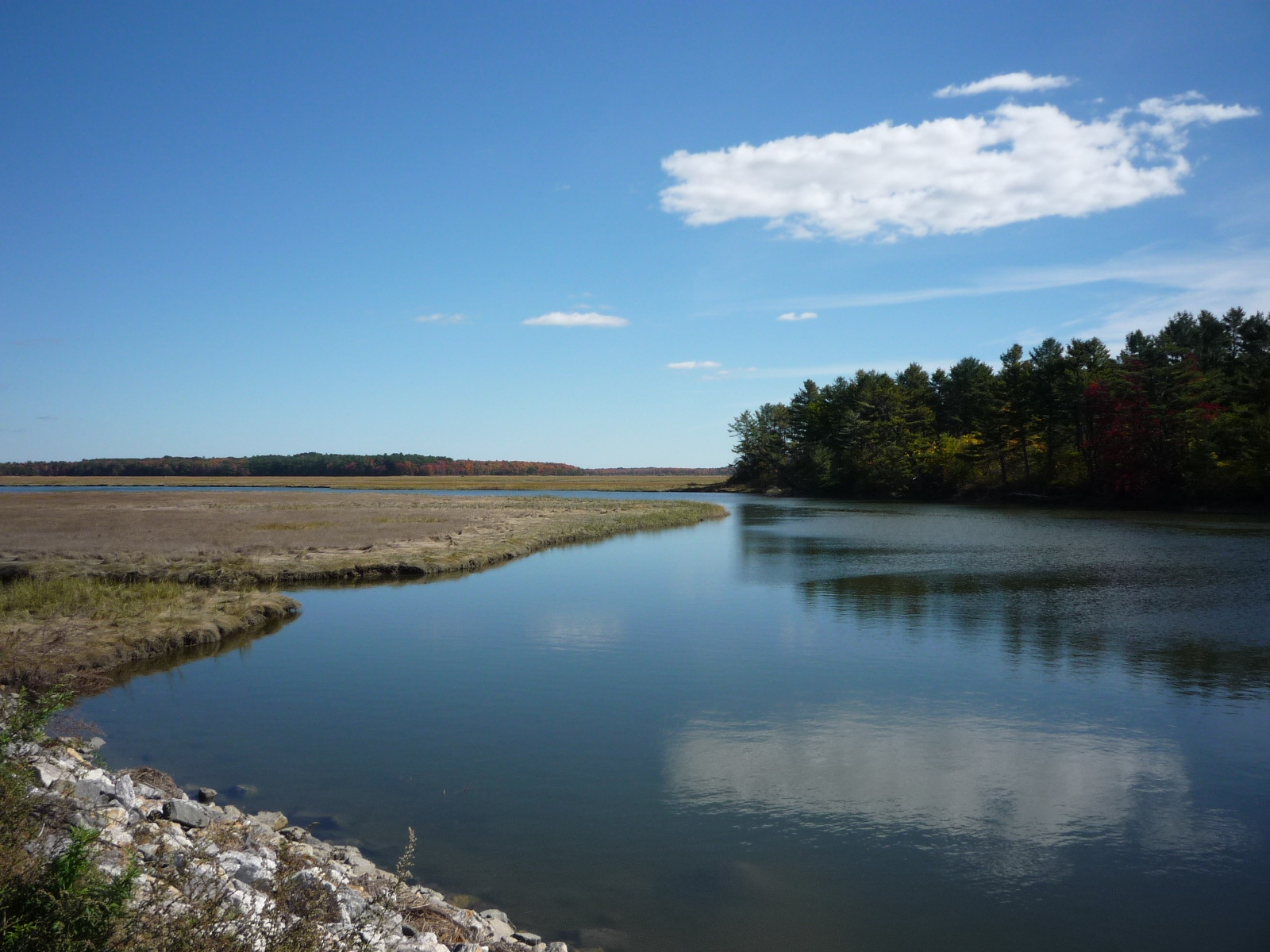 daily-pics-photographs-by-caren-marie-michel-scarborough-marsh-maine