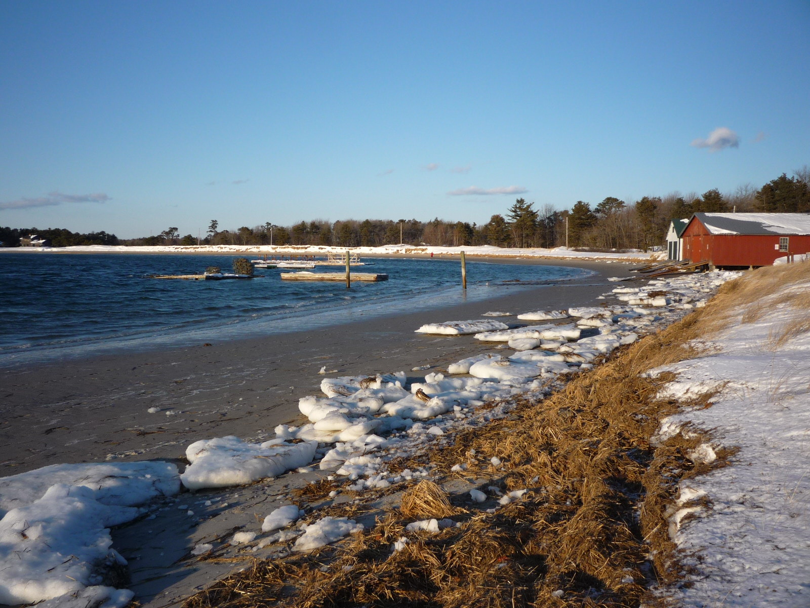 Daily Pics photographs by CarenMarie Michel Higgins and Ferry