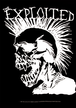 [51093~The-Exploited-Punk-Skull-Posters.jpg]