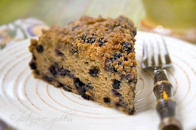 Gluten-Free Blueberry Crumb Cake Recipe