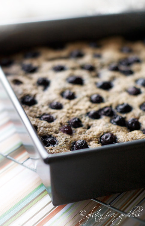 Quinoa breakfast bars with blueberries are gluten free