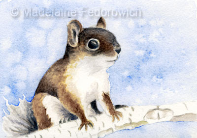 watercolour squirrel painting